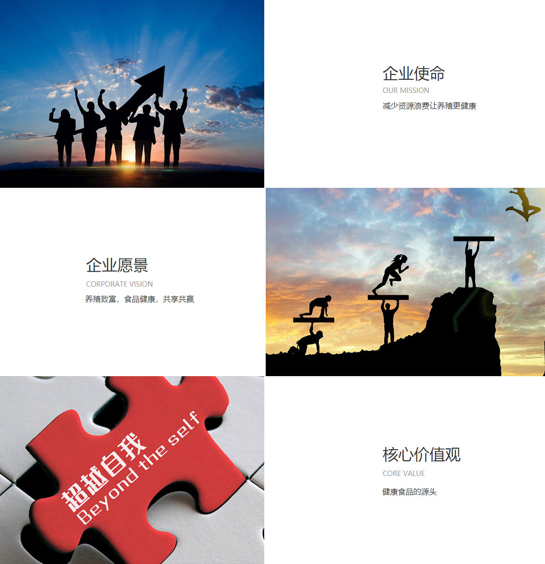 wepoker官网版下载苹果(图1)